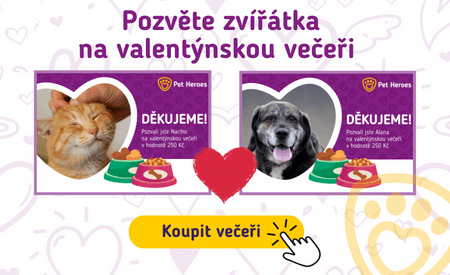 Pozvěte zvírátka na valentýnskou večeři